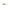 Vobler Kenart Winner Floating 2.5cm 1gr  GT Green Tiger  1 buc/pac