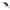 Vobler Lucky John Haira Tiny Plus One 33lbf, Culoare 017, 3.3cm, 4g, 1buc/pac