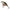 Vobler Madcat Tight-s Shallow Floating, Perch, 12cm, 65g, 1buc/pac