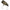 Vobler Mukai Burble Boa 33, Culoare E3, 3.3cm, 3.2g