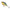 Vobler Mikado Fishunter Bold Head Floating, Brow Trout, 3.5g, 4cm, 1buc/pac