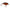Vobler Mustad Blf Shallow Runner, Bloody Craw, 5.5cm, 14g