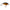 Vobler Mustad Blf Shallow Runner, Chorizo, 5.5cm, 14g