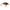 Vobler Mustad BLF Shallow Runner, Chorizo, 5.5cm, 14g
