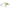 Vobler Mustad Blf Shallow Runner, Mojito, 5.5cm, 14g