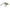 Vobler Mustad Blf Shallow Runner, T 1000, 5.5cm, 14g