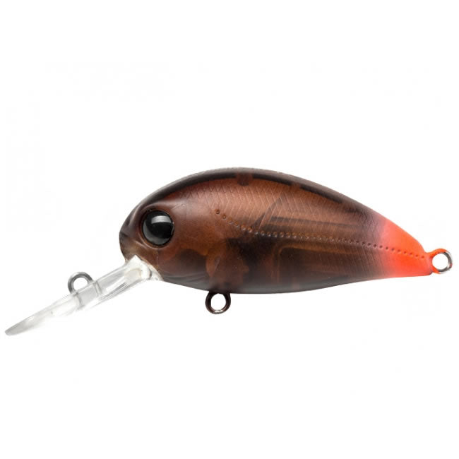 Vobler Pontoon21 Hypnose 38F-MDR 3.8cm 4g R42 F
