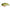 Vobler Raid Japan Level Crank, 004 Pearl Shad, 5.1cm, 10.5g
