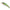 Vobler Raid Level Shad Sprinter 68sr, 005 Kanamoroko, 6.8cm, 5.6g