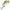 Vobler Rapala Nano Rap Sinking, Gyp, 1.6g, 2cm, 1buc/pac