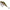 Vobler Rapala Rippin' Rap, Olm, 5cm, 9g