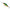 Vobler Rapala Shadow Rap Jack Deep, Perch, 7cm, 10g