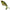 Vobler River2sea Whopper Plopper, Perch, 7.5cm, 16.5g, 1buc/pac