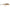 Vobler Rapala Countdown, Culoare SCPL, 11cm, 16g