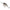 Vobler Rapala Dives-To, Culoare S, 7cm, 22g
