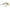 Vobler Rapala Dives-To Fat, Culoare SMSH, 6cm, 14g