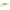 Vobler Rapala Jointed Shad Rap, Culoare FT, 9cm, 25g