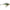 Vobler Rapala Rippin' Rap Sinking, Chrome Bluegill, 5cm, 9g