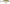 Vobler Rapala Scatter Rap Shad 7cm/7gr YP