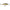 Vobler Rapala Scatter Rap Shad Deep, Culoare PEHL, 7cm, 7g