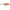Vobler Rapala Scatter Rap Shad SCRS05 GOL 5cm 5g