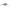 Vobler Rapala Shad Dancer Culoare ROL 5cm 8g
