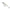 Vobler Rapala Shad Rap Elite, 7.5cm, 12g, Gilded Mangrove Minnow