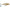 Vobler Rapala Shadow Rap Solid Shad Glassy Gill Uv 5cm 5.5g