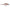 Vobler Rapala Shadow Rap Solid Shad Wakasagi 5cm 5.5g