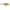 Vobler Rapala Shallow Shad Rap P