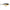 Vobler Rapala Shallow Shad Rap SSR09 Floating Halloween 9cm 12g