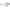 Vobler Rapala X-Light Crank Shallow Runner FNCS03 GHSH, 3.5cm, 4g