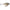 Vobler Rapala X-Light Crank Shallow Runner FNCS03 ROL, 3.5cm, 4g