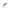 Vobler Rapture Pro Under Silent Max Sinking, Olive Shiner, 7.5cm, 19g