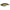 Vobler Rapture Pro Vibe Silent 5cm, 14g, Nay