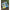 Vobler Salmo Fatso Floating, Emerald Perch, 10cm, 48gr, 1buc/pac