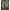 Vobler Salmo Fatso Sinking, Emerald Perch, 10cm, 59gr, 1buc/pac
