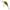 Vobler Salmo Hornet Floating, Gold Fluo Perch, 3.5cm, 2.6gr, 1buc/pac