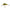 Vobler Salmo Hornet Floating, Gold Fluo Perch, 4cm, 3.1gr, 1buc/pac