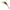 Vobler SALMO Hornet New Color, Real Identity Perch, 2.5cm, 1.5g