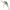 Vobler Salmo Hornet Sinking, Pearl Shad, 2.5cm, 2.4gr, 1buc/pac