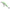 Vobler Salmo Minnow M5s, 5.0cm, 5.0g, Lbs