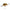 Vobler Salmo Rattlin Hornet Floating, Natural Perch, 4,5cm, 5.6gr, 1buc/pac