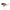 Vobler Salmo Slider Floating, Real Roach, 7cm, 17gr, 1buc/pac
