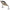 Vobler Salmo Slider Sinking, Wounded Real Grey Shiner, 7cm, 20gr, 1buc/pac