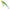 Vobler Salmo Thrill, Sinking, 7cm, 13g, Sprat, 1buc/pac