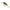 Vobler Savage Gear Petit G Crank Sr Floating, Shiny Firetiger, 4cm, 4.3g, 1buc/pac