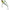 Vobler Swimy Lipless Crankbait Finesse, Metal Ayu, 4.3cm, 4g, 1buc/pac