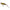 Vobler Sakura Pop'n Dog 70f 70mm 9g 016 Bronze Perch
