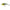 Vobler Salmo Executor 12 Shallow Runner Holographic Phantom Perch Limited Edition, 12cm, 33g